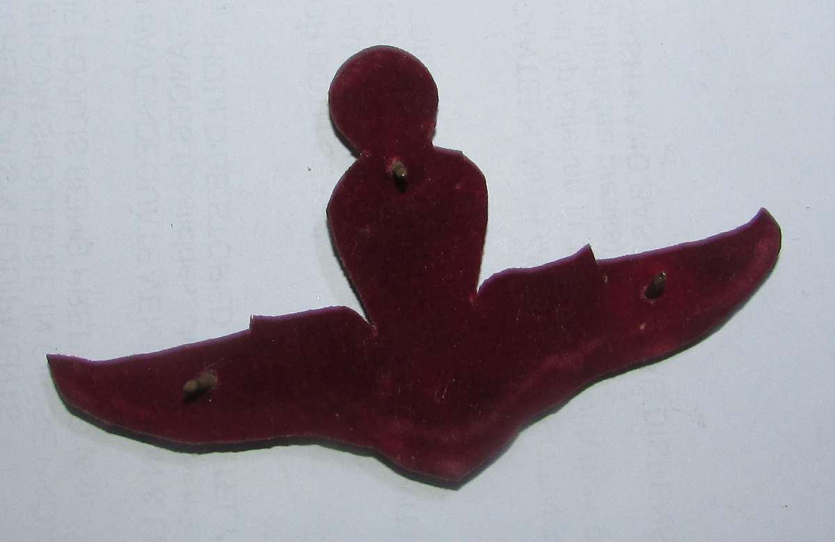 Inernational - Thailand Army Paratrooper Jump Wings