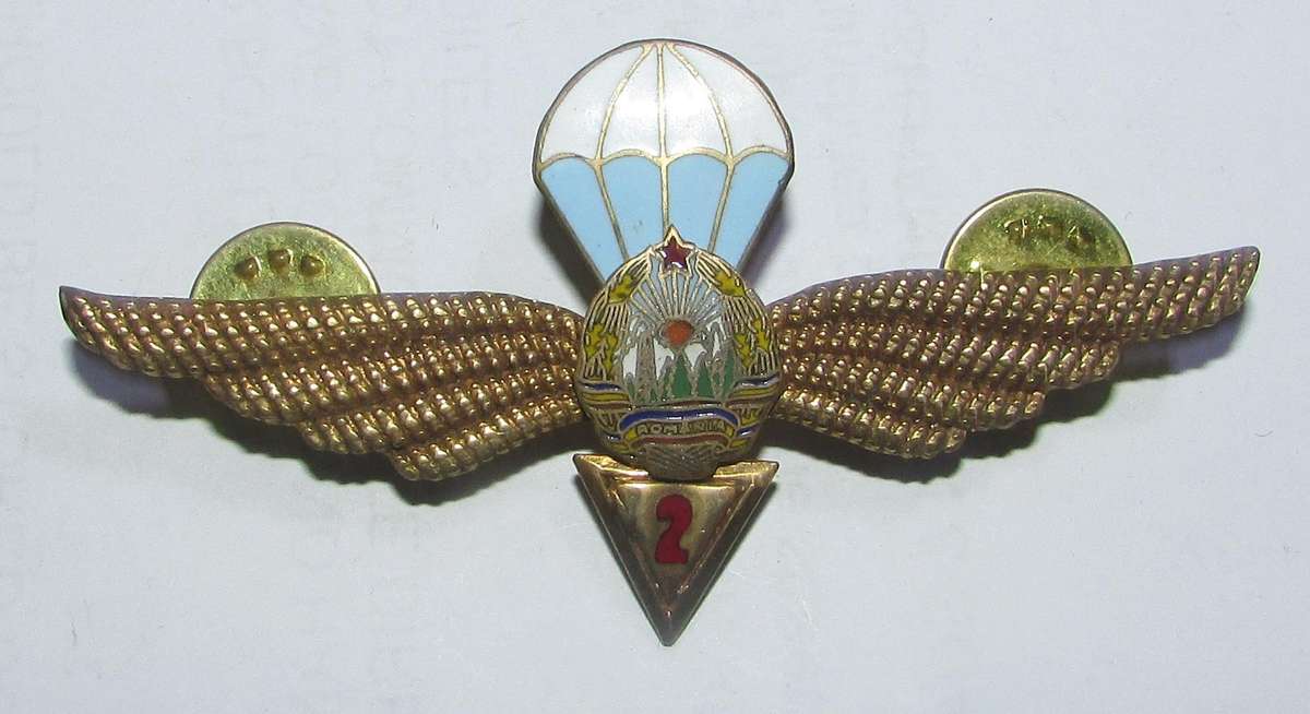 Romania Rumanian 1967 Parachute Airborne Jump Wing 1st Class