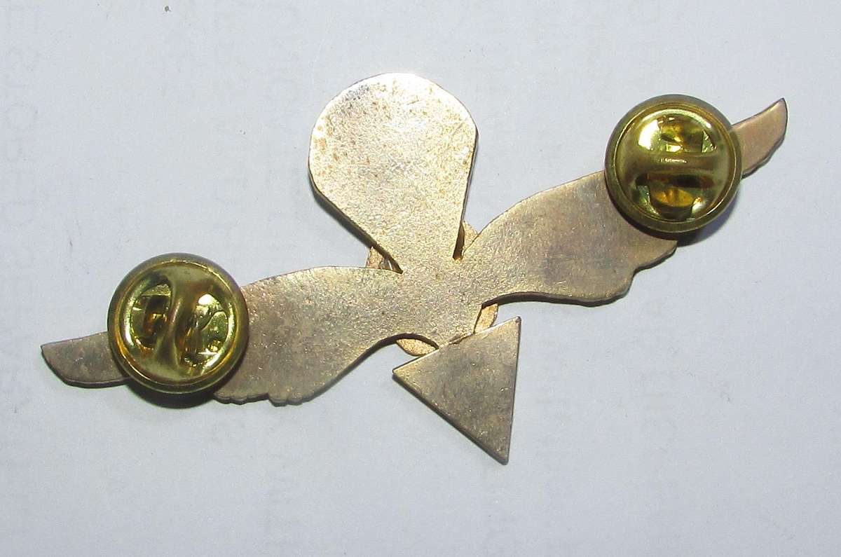 Romania Rumanian 1967 Parachute Airborne Jump Wing 1st Class