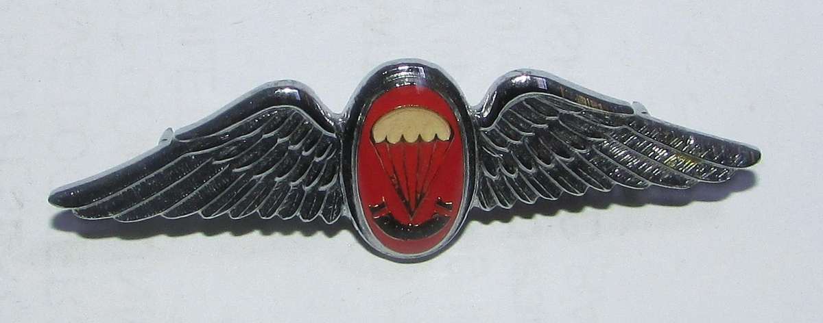 SADF - Parachute Freefall Instructor Mess Dress Wing