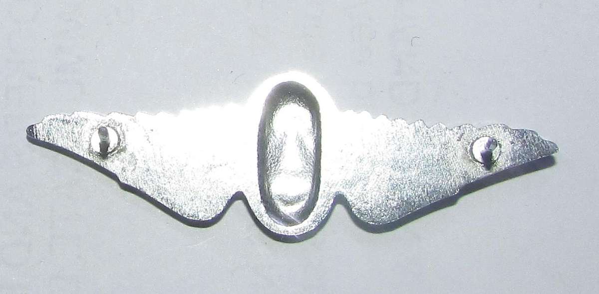 SADF - Parachute Freefall Instructor Mess Dress Wing