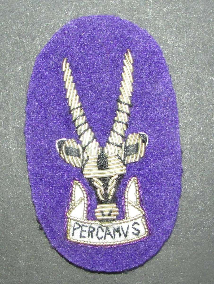 SADF - South West Africa Territorial Forces ( SWATF ) Area Force Chaplain Beret Badge