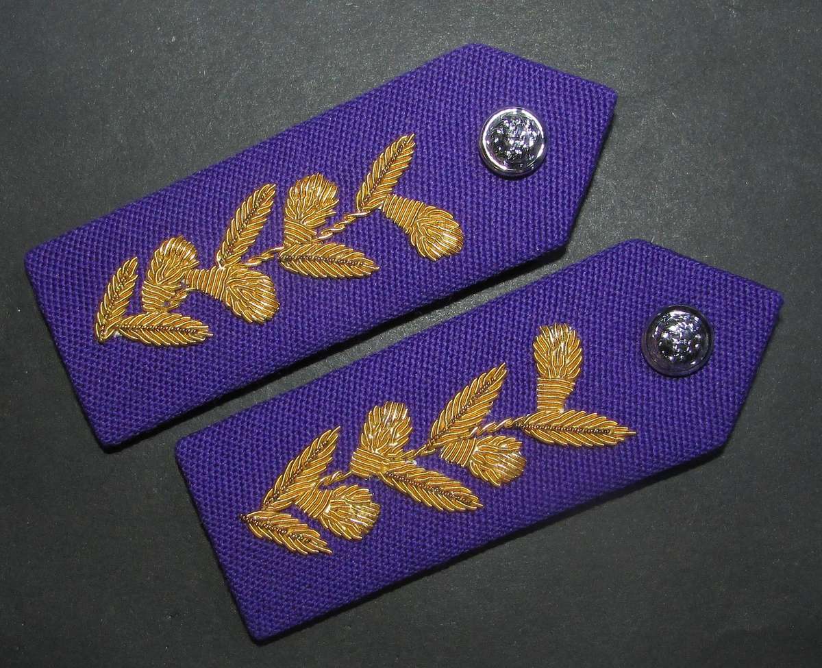 SADF - Chaplain General Gorgets