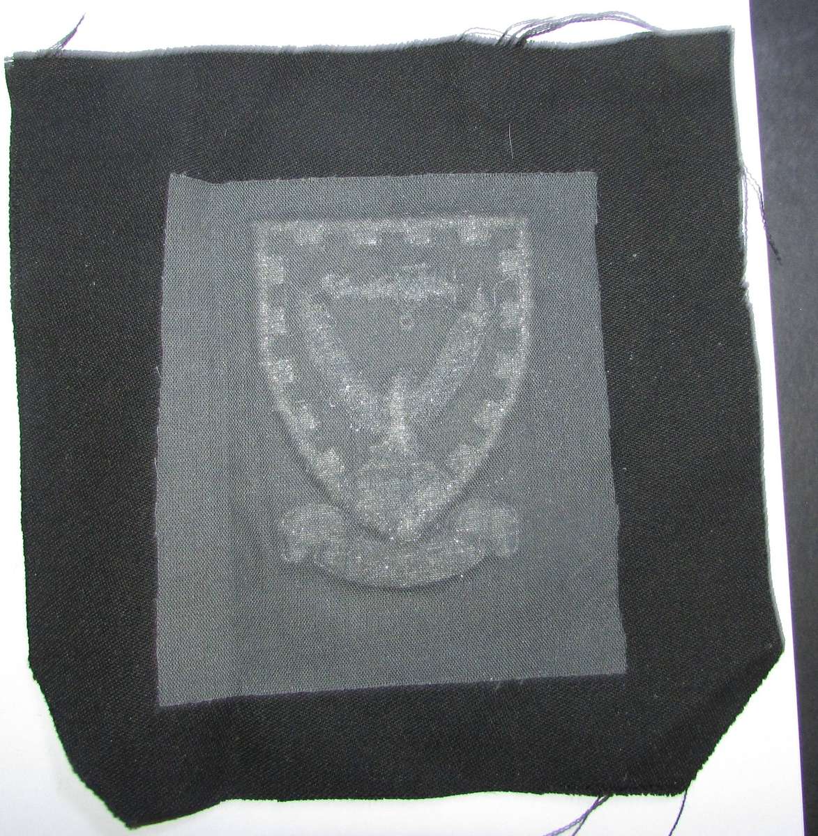 SADF - Air Force Blazer Badge