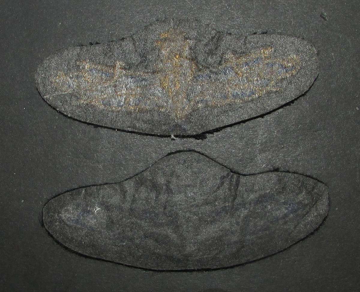 SADF - Navy Watckeeper Badges