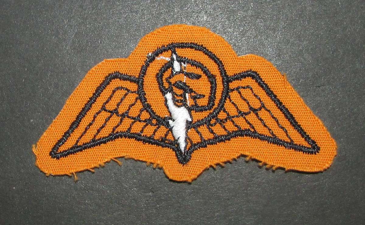 South Africa Railways Police Para Wing