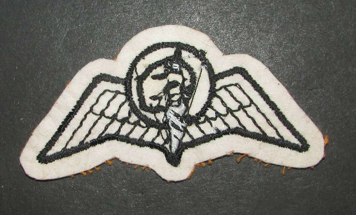 South Africa Railways Police Para Wing