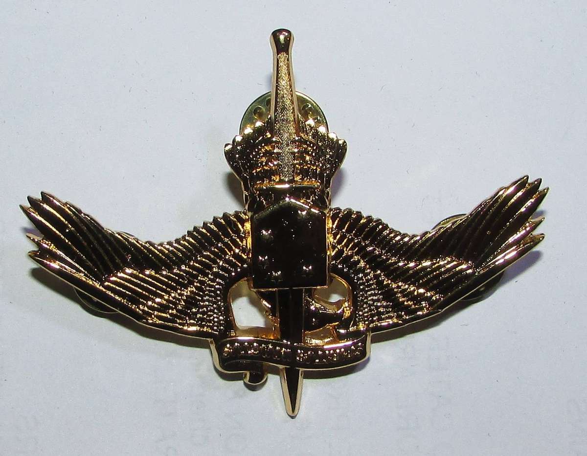 International - Parachute Wing