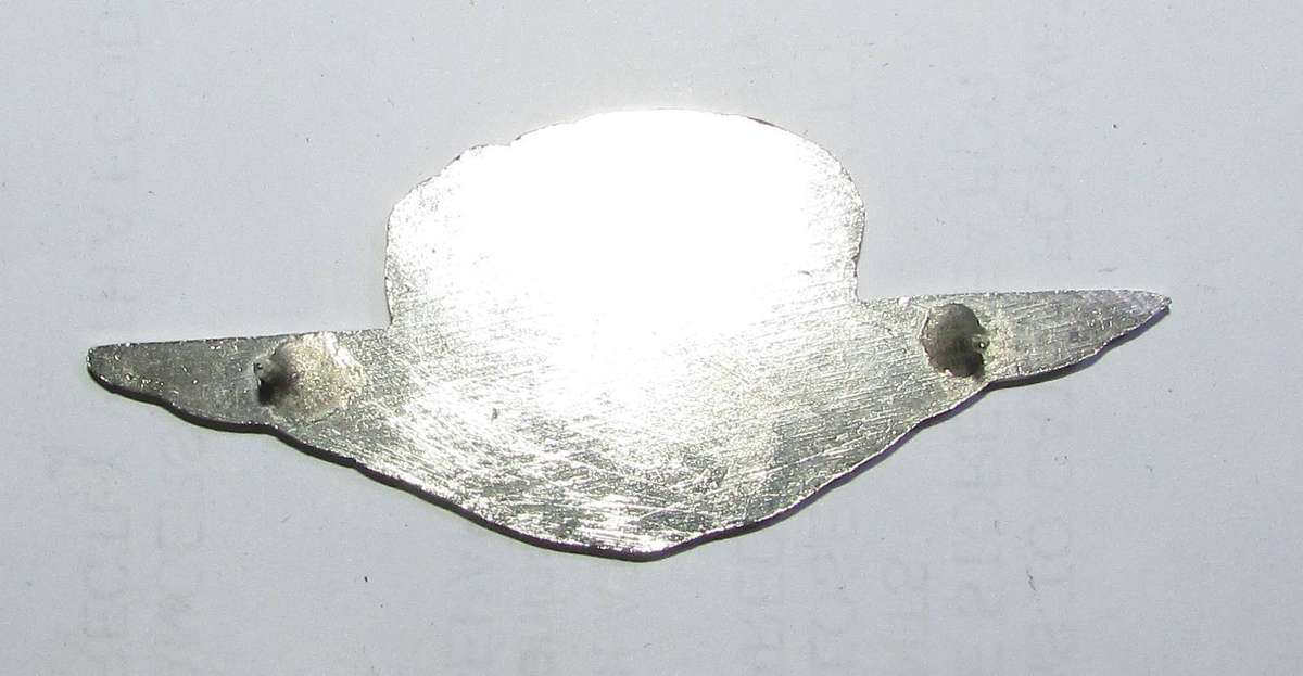 International - CONGO (Democratic Republic of) Freefall Para Wings