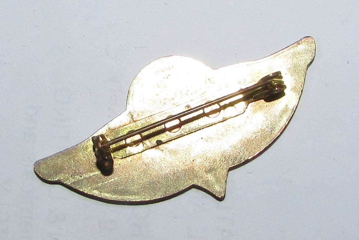 International - IRAQ Republican Guard "Thunder" Parachute wings