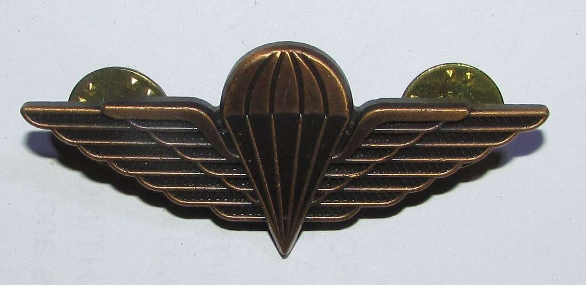 International - Irish Defence Force Parachute Wing - Numbered