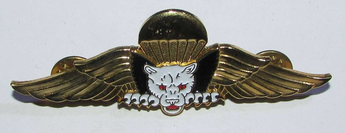 Dominican Republic Parachutist Wings