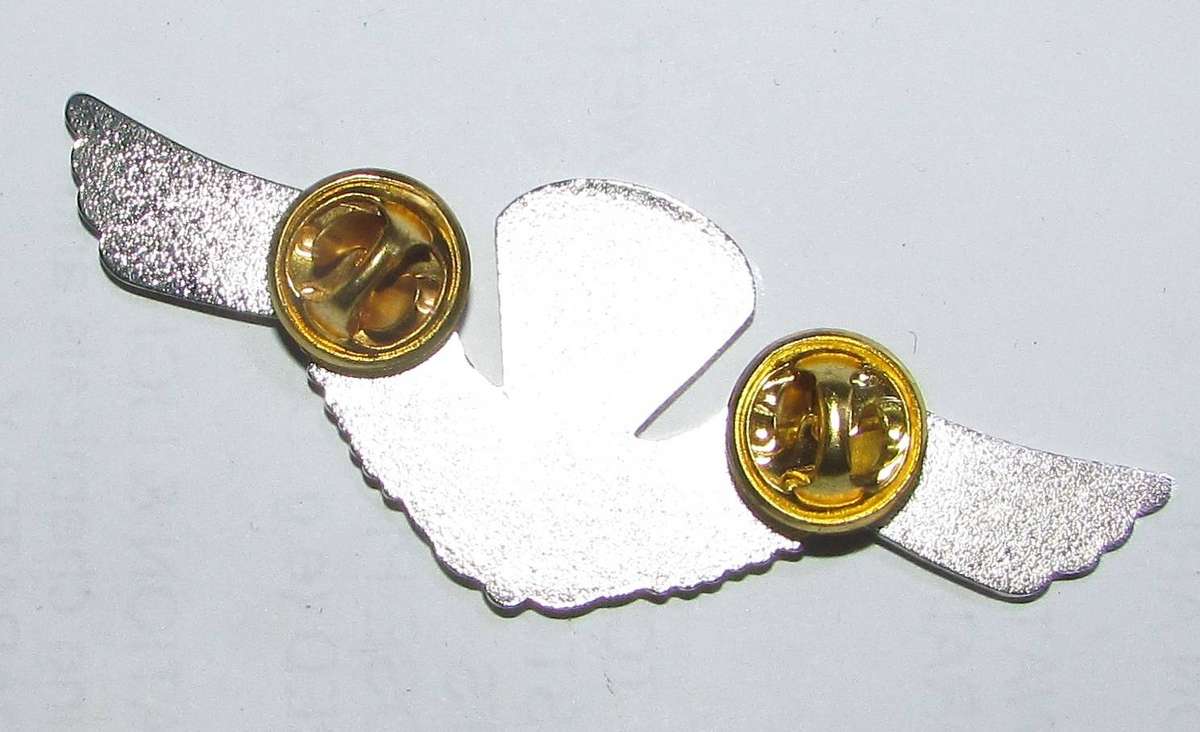 International Parachutist Wings