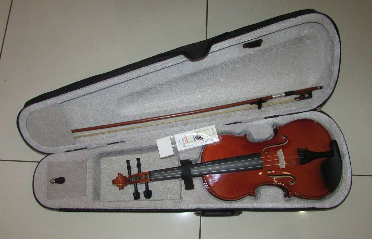 New Condition - Violin with Carry Case