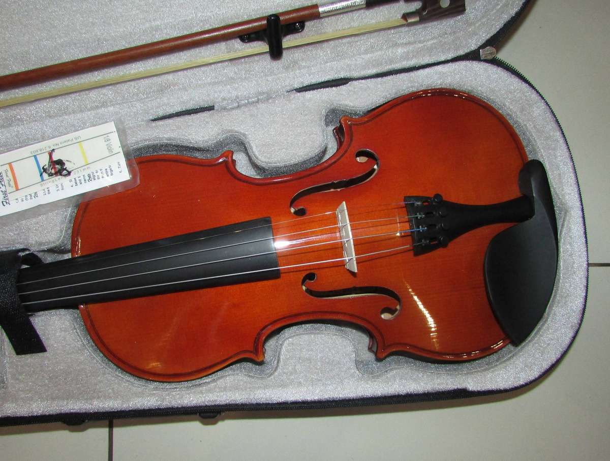 New Condition - Violin with Carry Case