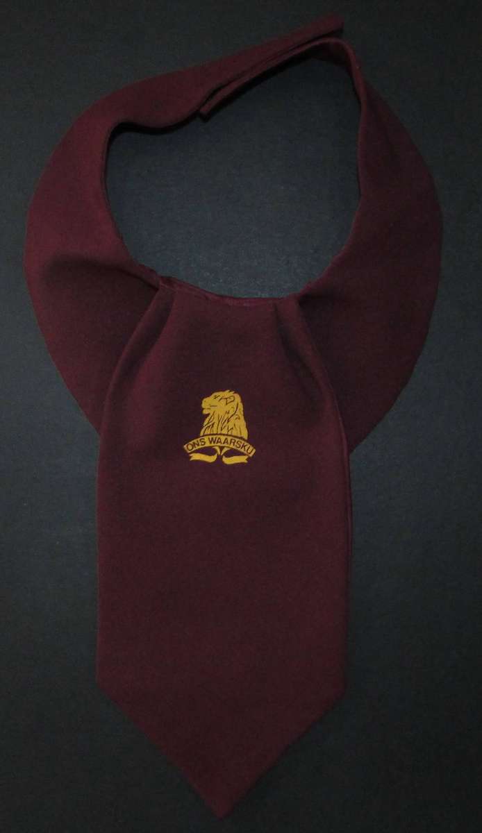 SADF - Regiment De la Rey Cravat