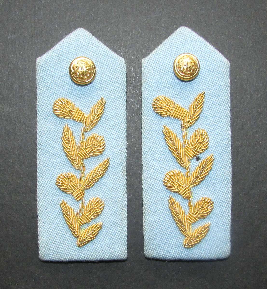 SADF - Air Force Officers Gorgets