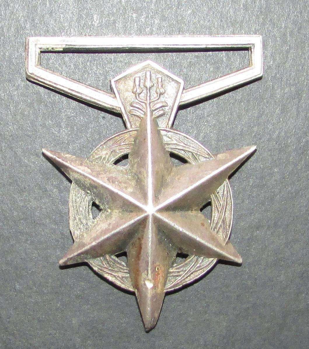 South African Police Medal for Combating Terrorism: Dippenaar