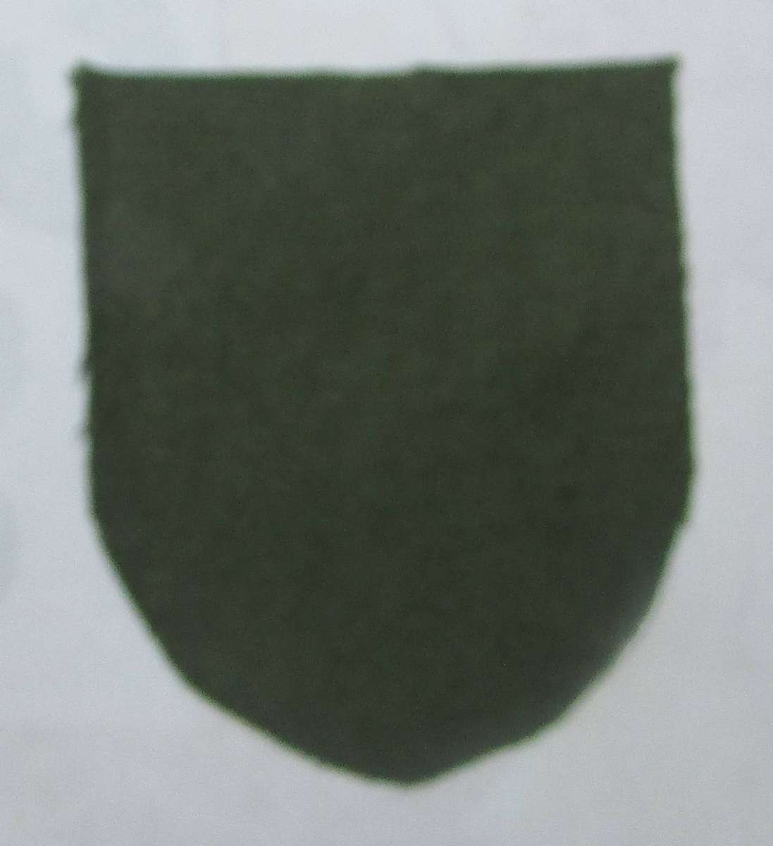 Rhodesian Pfumo Re Vanhu (Spear of the Nation) Tracker Qualification Cloth Printed Badge