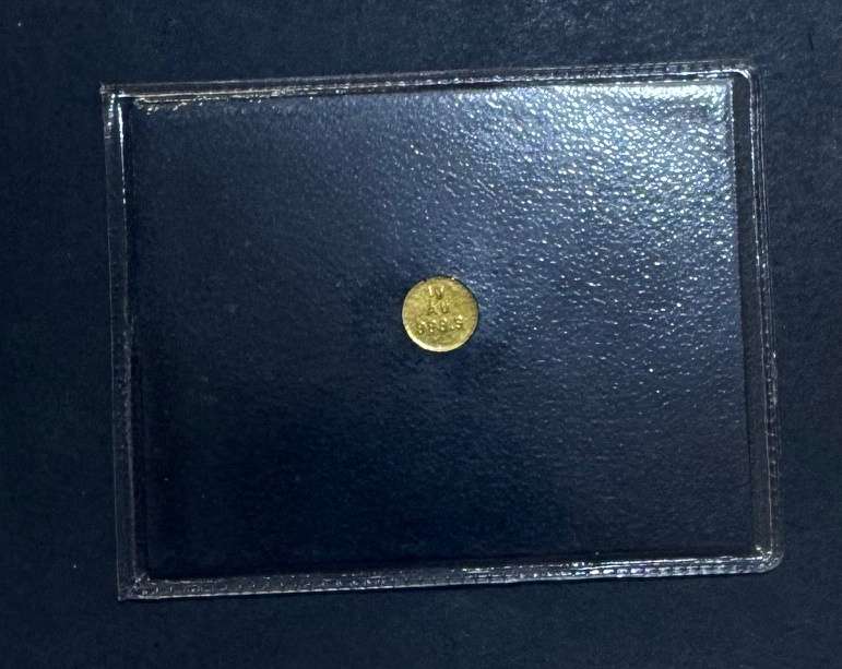 Gold Reef City Mint - 1Gram - 24CT Gold