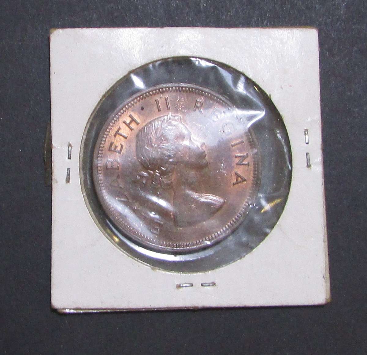 Union of South Africa 1954 Penny