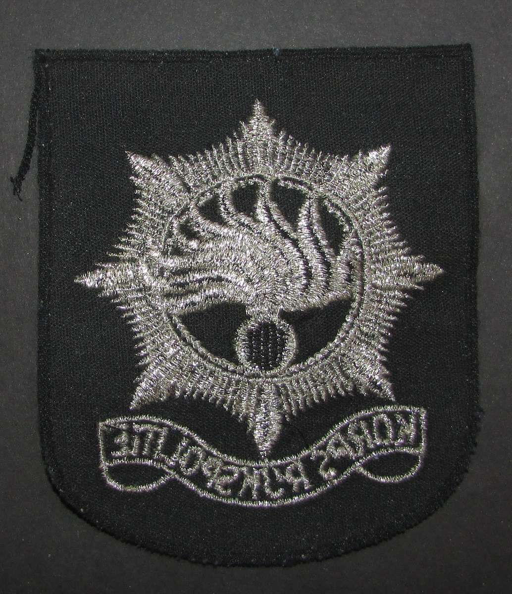 International Police - Patch Badge