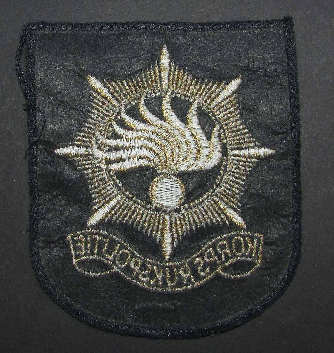 International Police - Patch Badge
