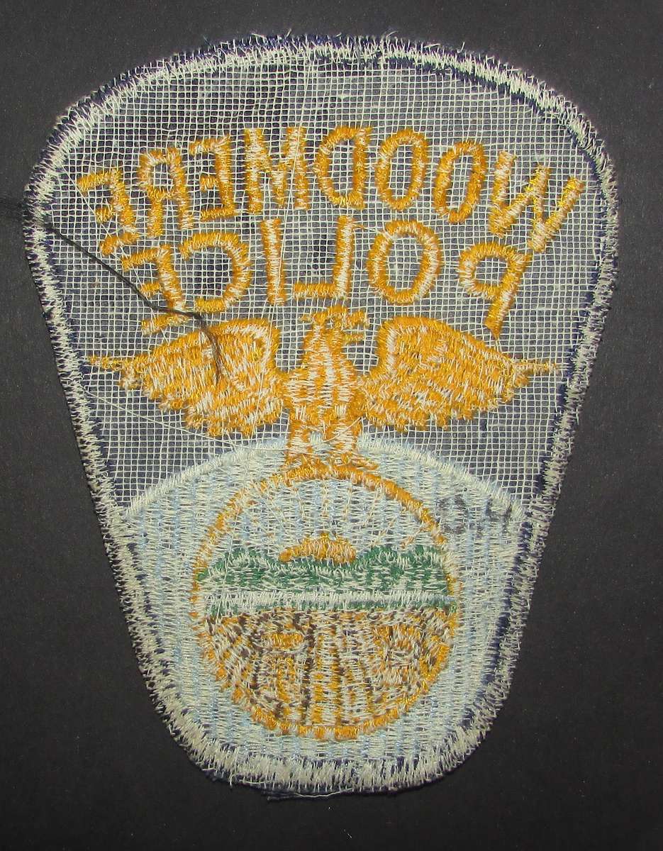 International Police - Patch Badge