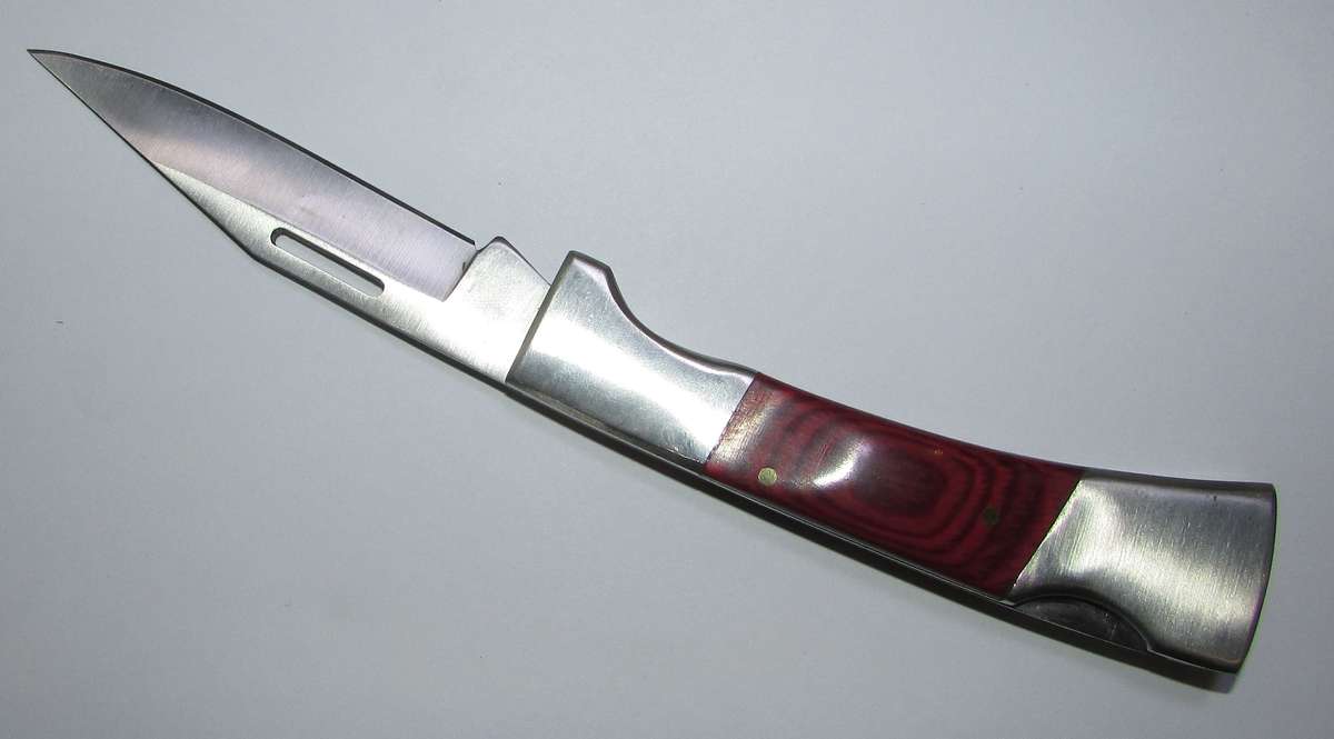 Rapido Stainless Steel Folding Knife