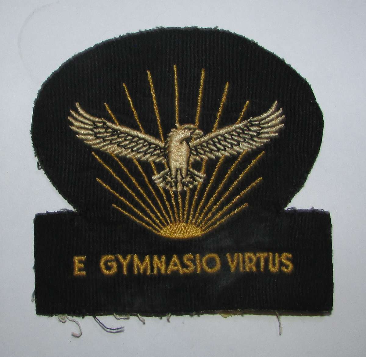 SADF - Air Force Gymnasium Large Cloth Badge
