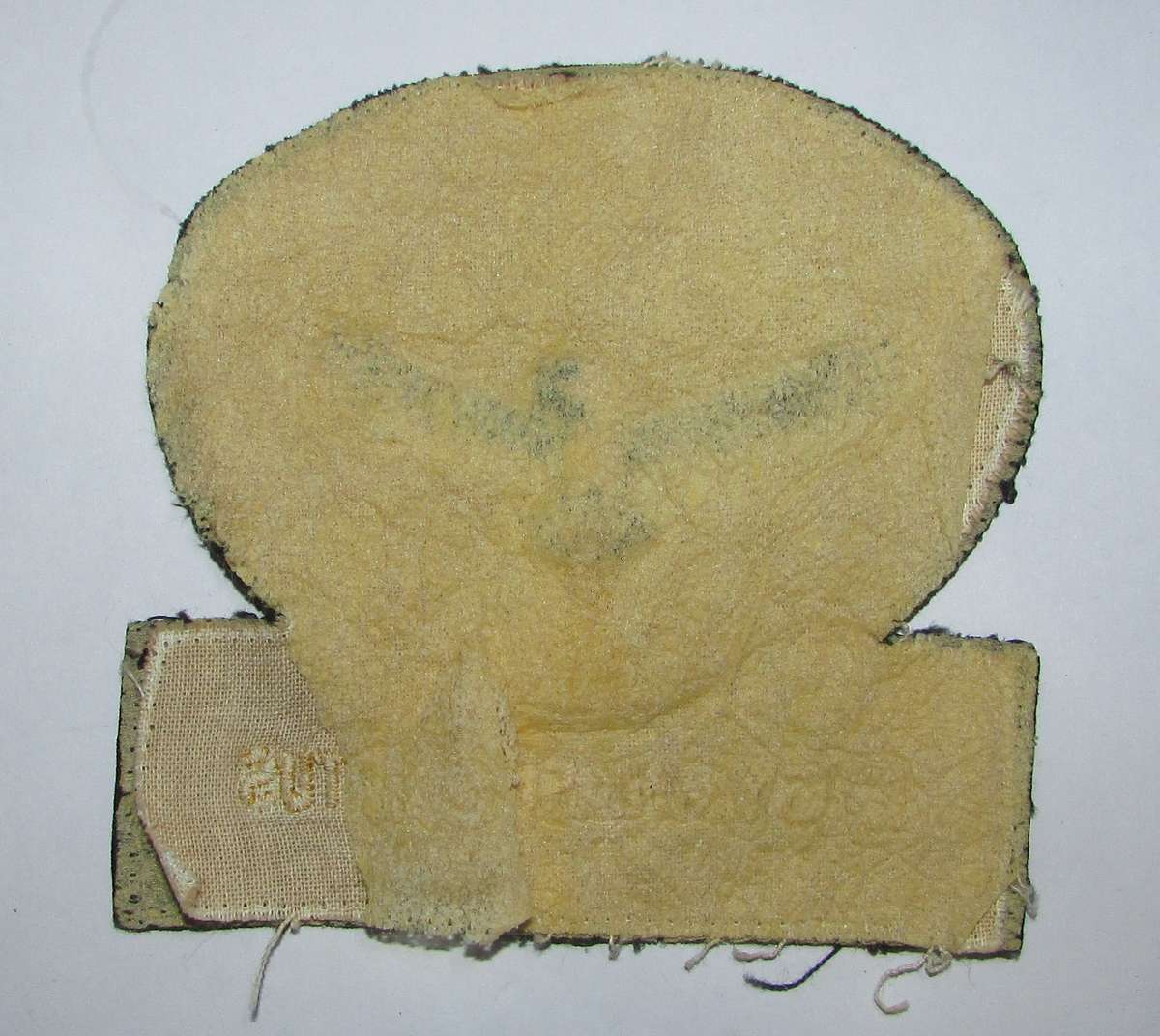 SADF - Air Force Gymnasium Large Cloth Badge