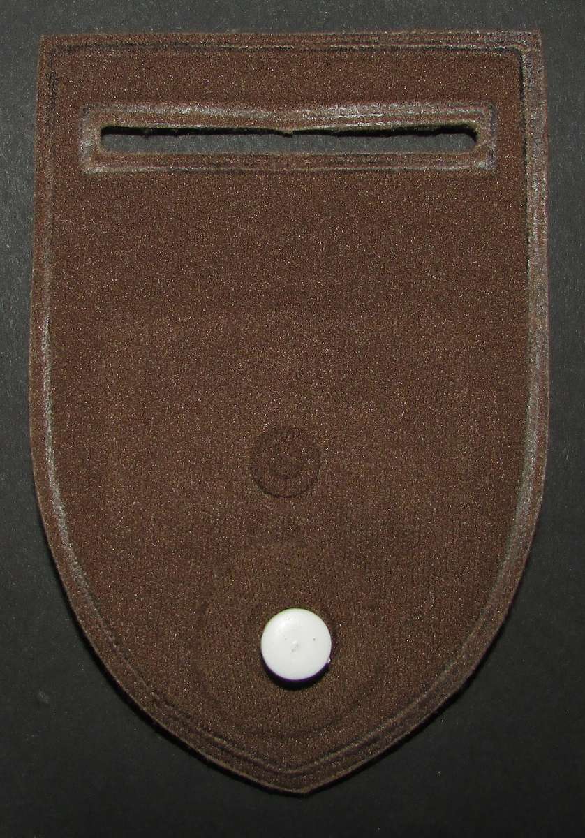 SA Army Pride of the Nation Tupper Flash