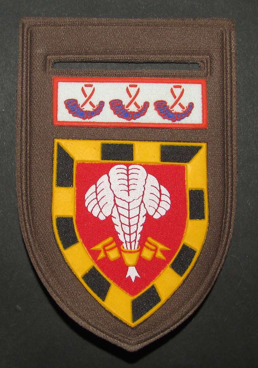 SADF - 1 SA Infantry Tupper Flash