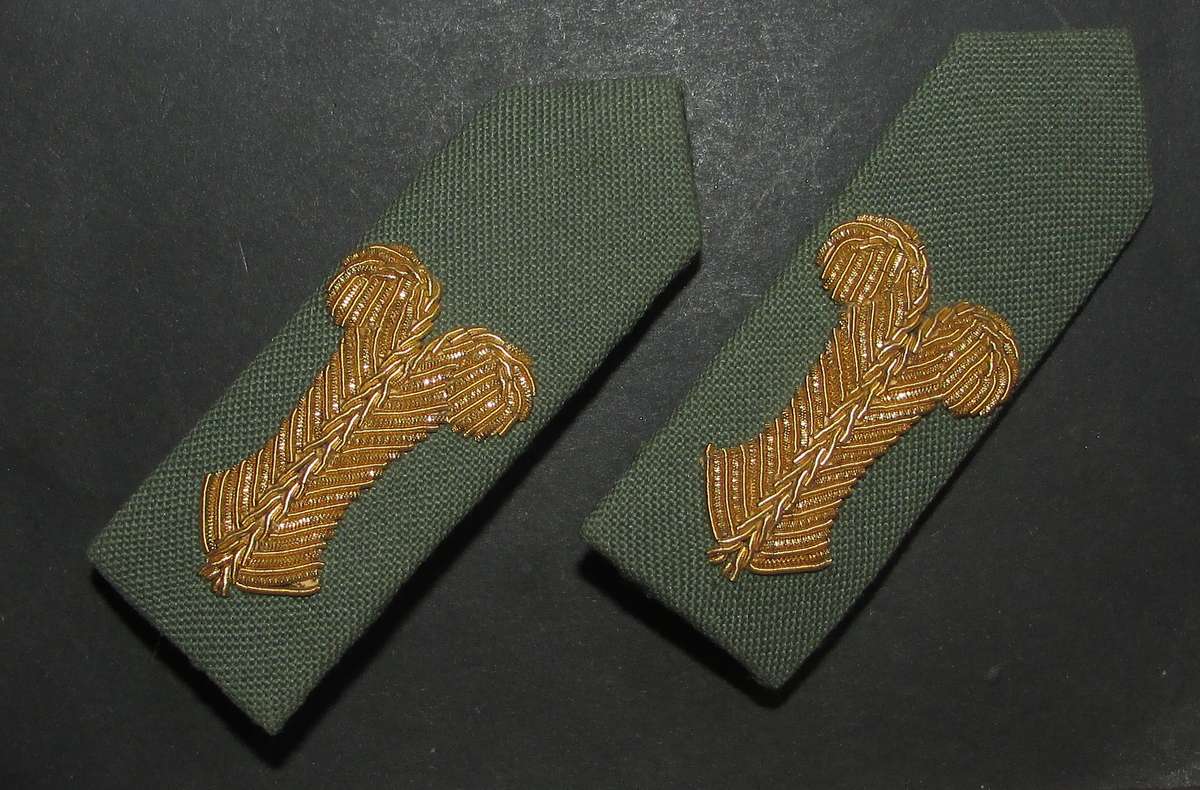 (Homelands) Officers Rank Gorgets ( Bullion )