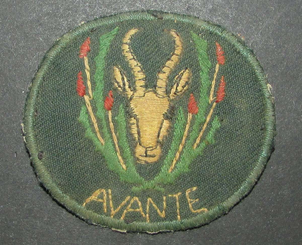 SADF - 5 SA Infantry Beret Badge