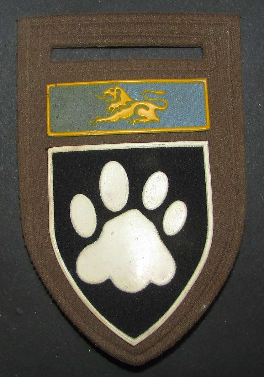 SADF - Kruger Park Commando Tupper Flash