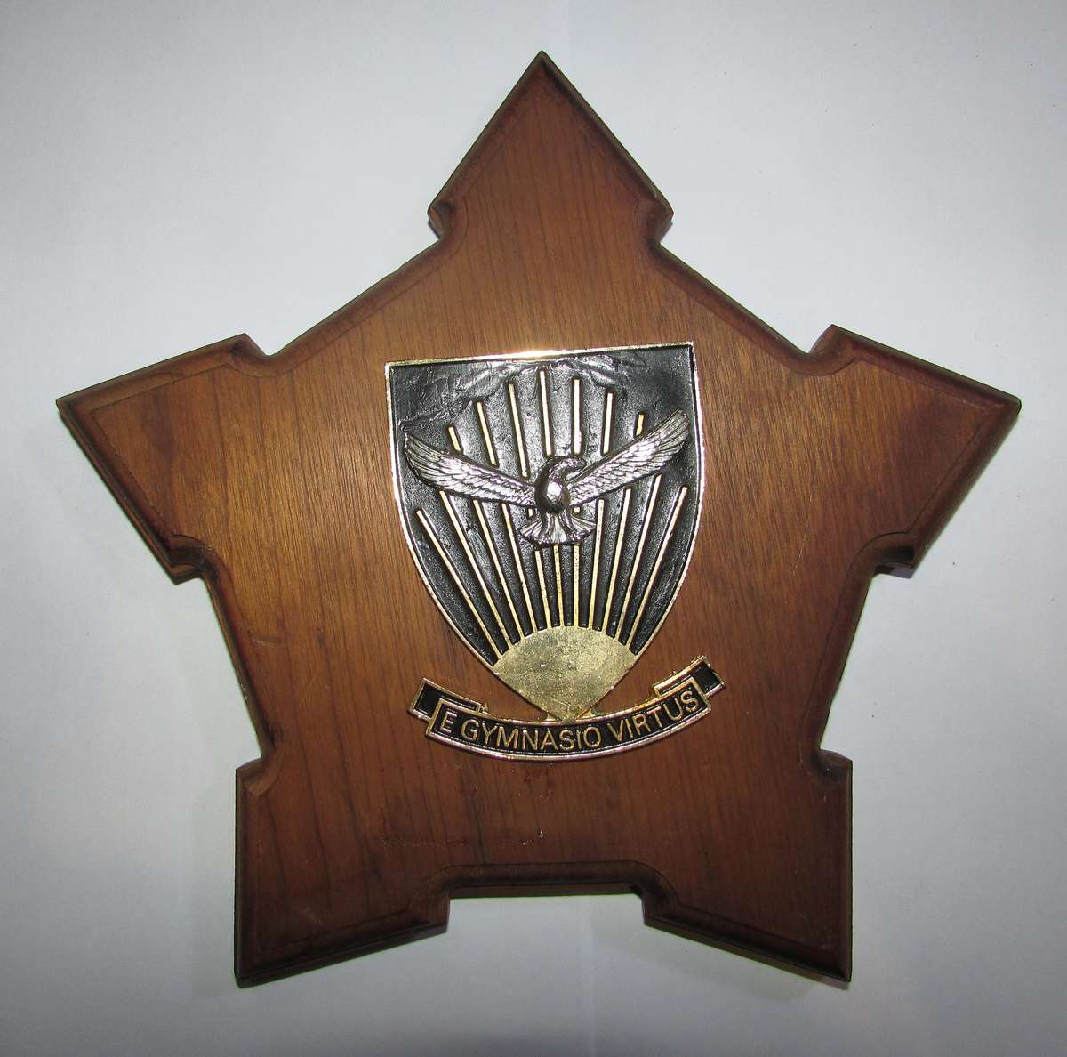 SADF - Air Force Plaque