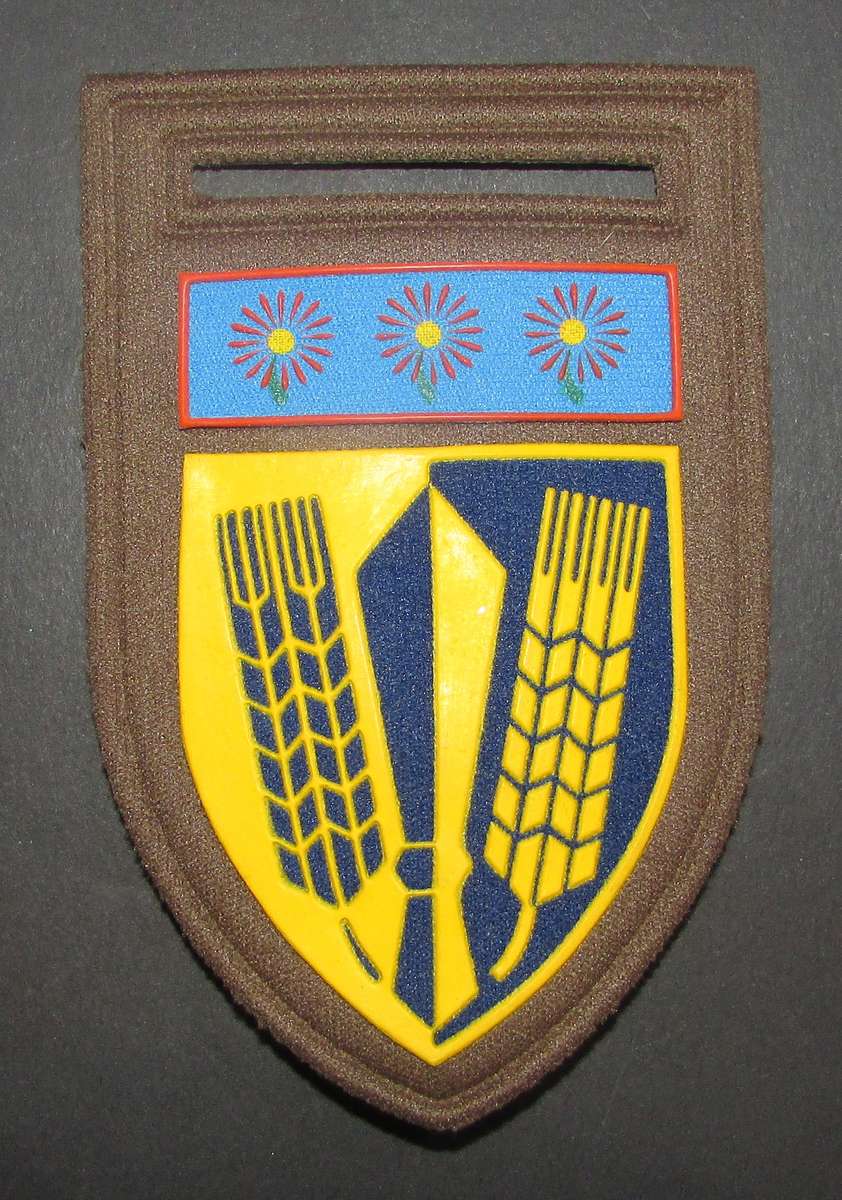 SADF - Catering Corps Tupper Flash
