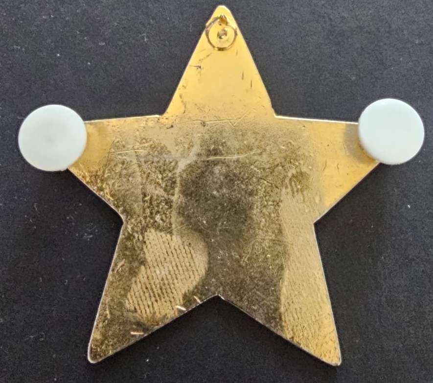 Sandton Traffic Police Badge