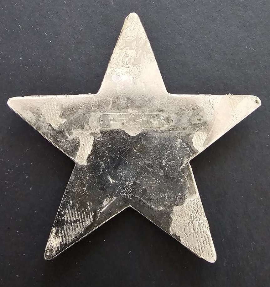 Traffic Police Badge