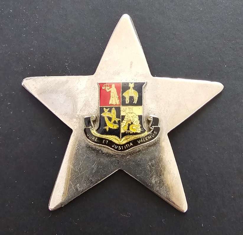 Traffic Police Badge