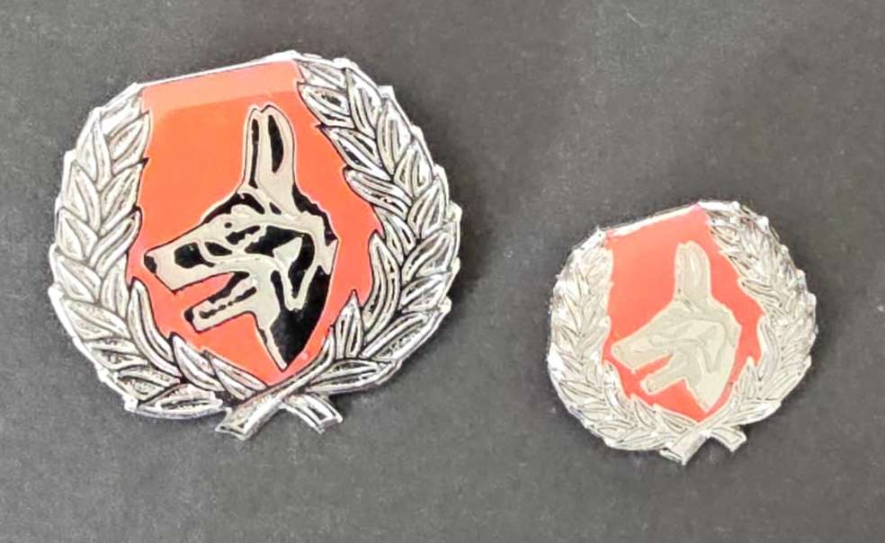 SADF - Army Dog Handler Instructor Qualification ( Full Size Plus Mess Dress )