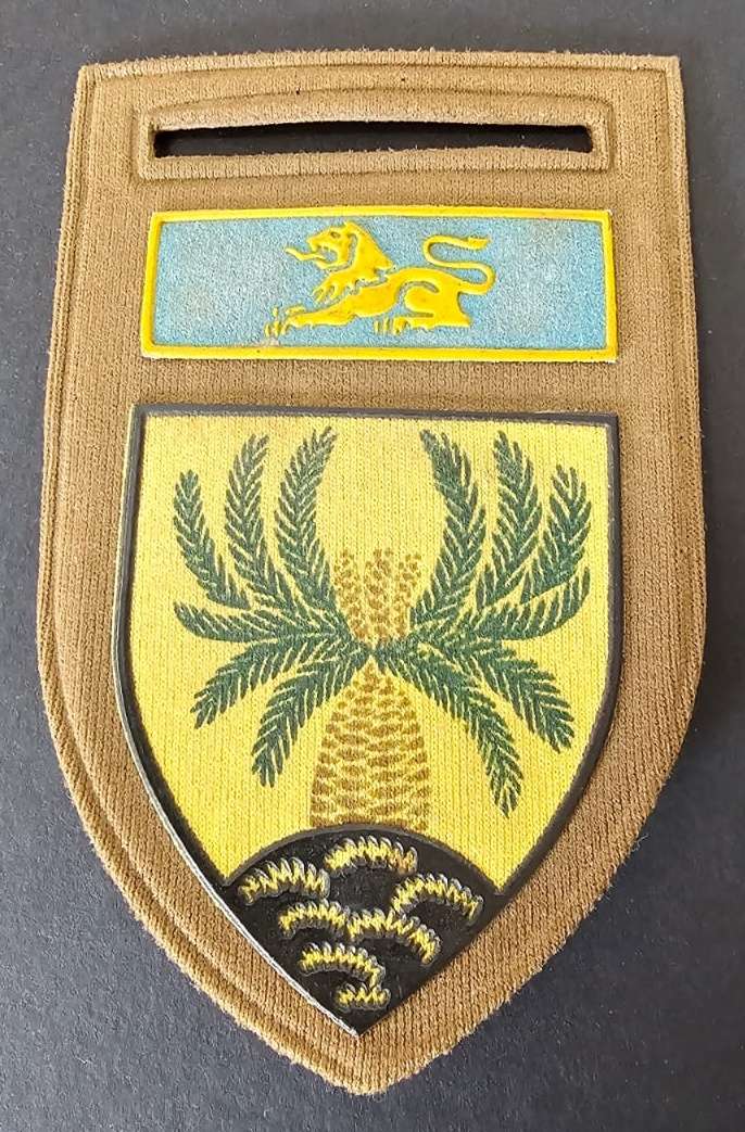 SADF - Infantry Tupper Flash