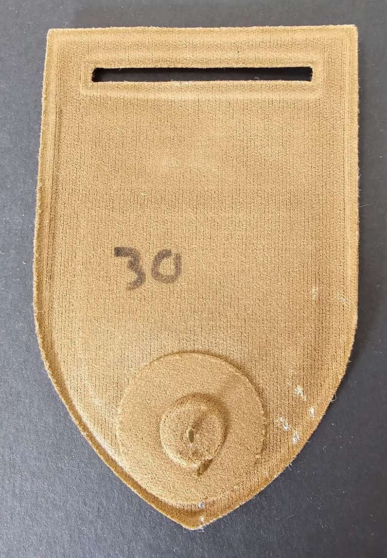 SADF - Infantry Tupper Flash