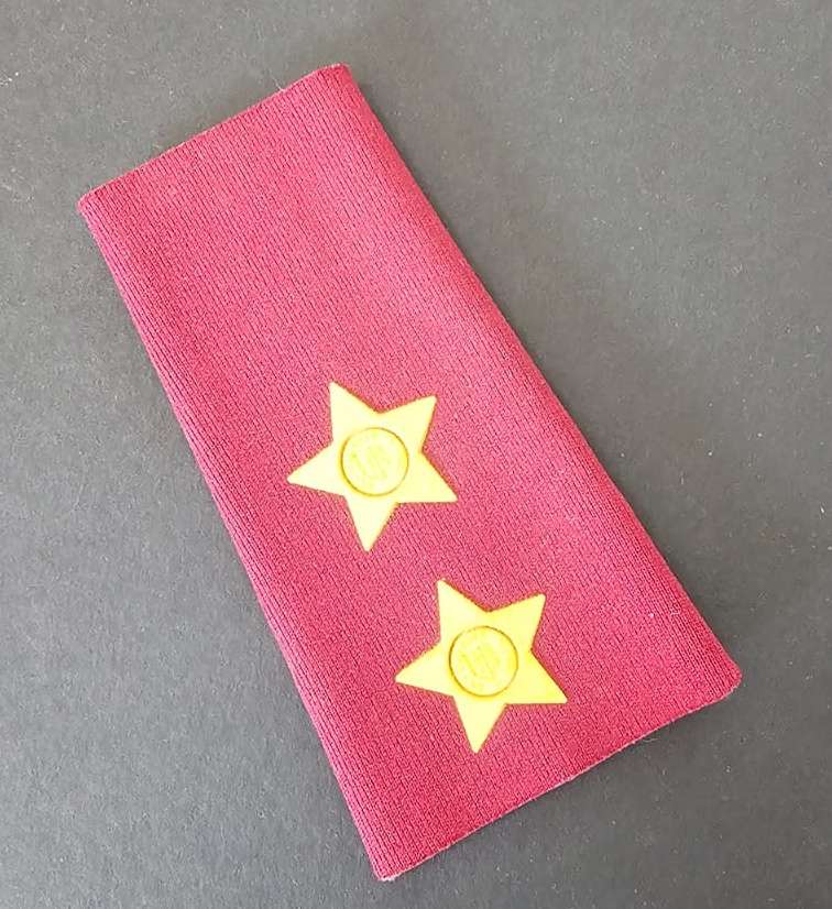 SADF - Medical Services Lieutenant Slip on Rank