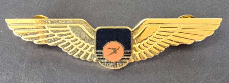 South African Airways (SAA) Pilot Wings
