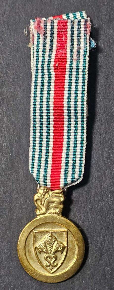 SADF - The National Intelligence Service Medal for Faithful Service ( Gold ) - Miniature