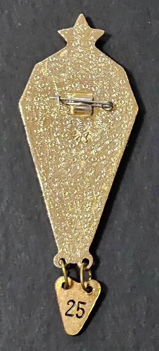 USSR Soviet Union Badge - Parachute Instructors 100 Jumps