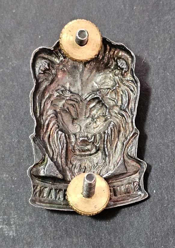 SADF - South West Africa Territorial Forces ( SWATF ) Reaction Force Cap Badge