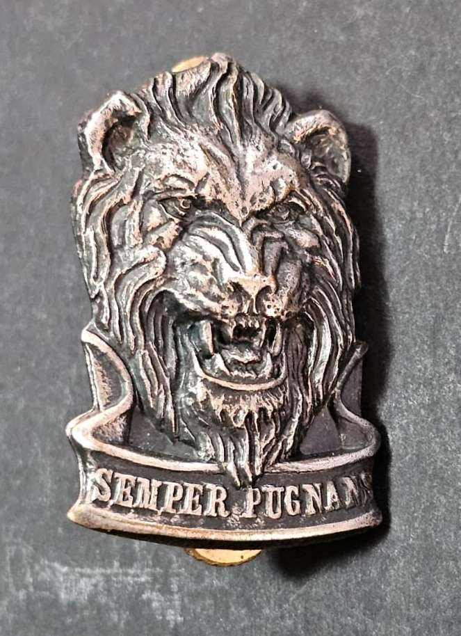 SADF - South West Africa Territorial Forces ( SWATF ) Reaction Force Cap Badge